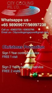 Merry christmas Promotion